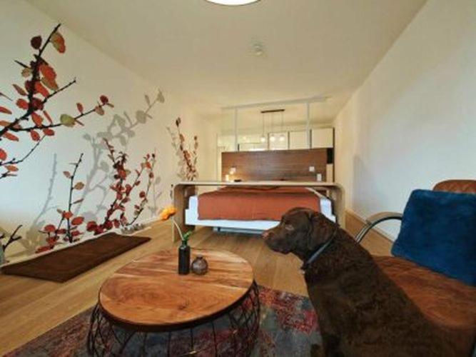 Artroom Boarding Apartment Bissendorf Εξωτερικό φωτογραφία
